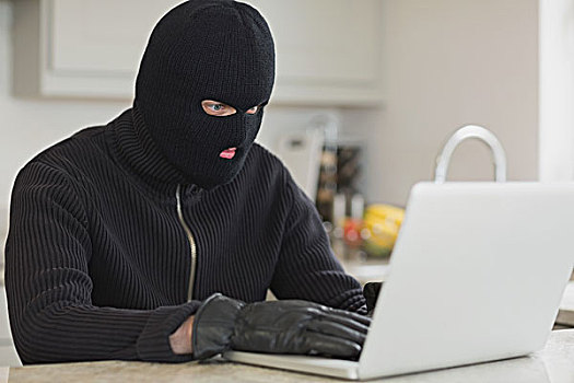 盗取,坐,厨房,黑客攻击,笔记本电脑