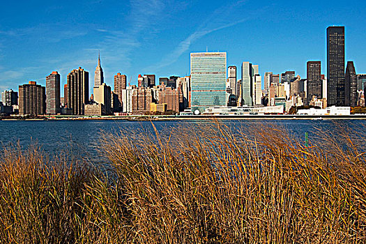 高草,曼哈顿,天际线,背景,纽约,美国