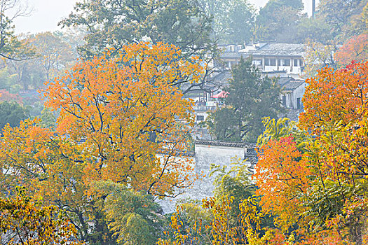 塔川秋景