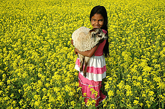女孩,芥末,地点,孟加拉,一月,2008年