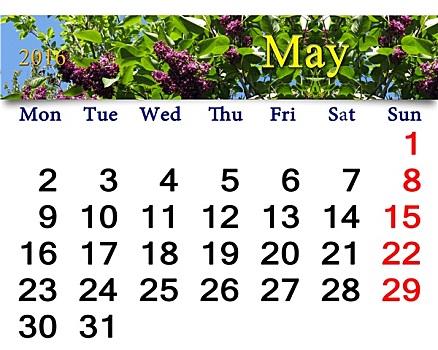 日程,五月,丁香,灌木