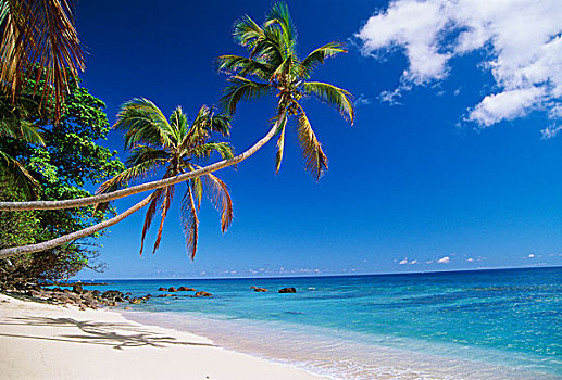 海滩,斐济