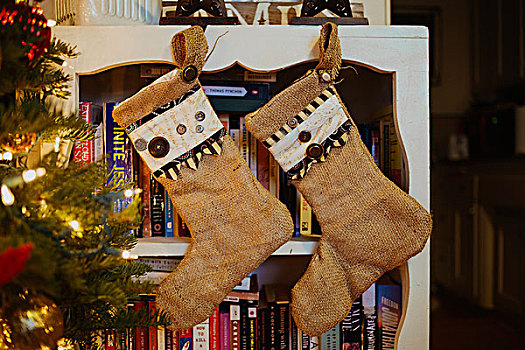 圣诞袜,书架