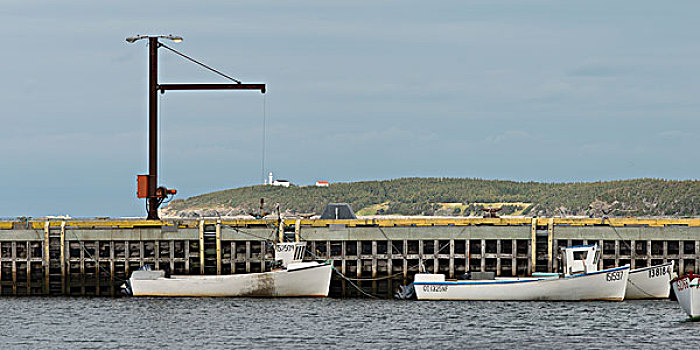 渔船,码头,岩石,港口,格罗莫讷国家公园,纽芬兰,拉布拉多犬,加拿大