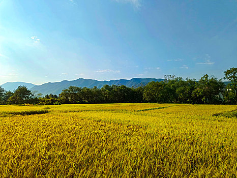 山野乡村,田园风光