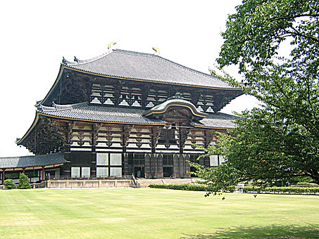 奈良东大寺金堂图片