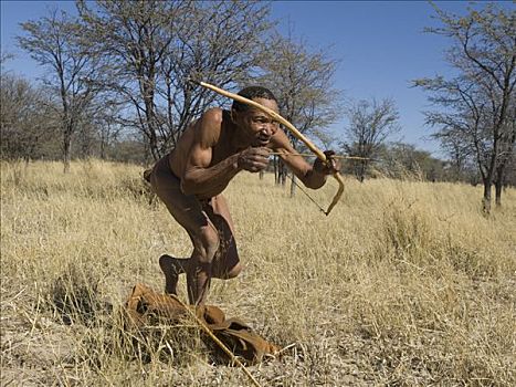 使用,弓箭,纳米比亚,非洲