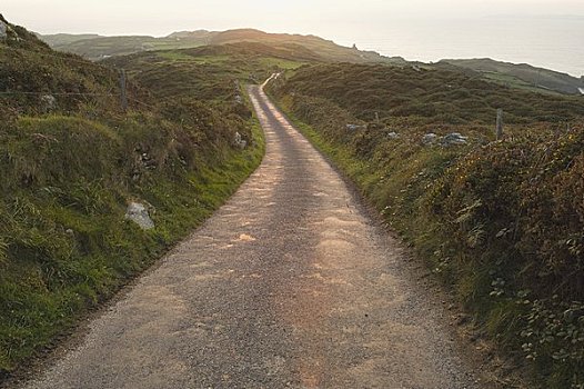 日落,上方,道路,岬角,清晰,岛屿,科克郡,爱尔兰