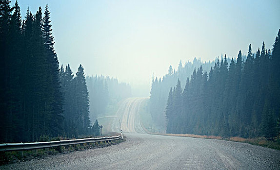 雾状,道路