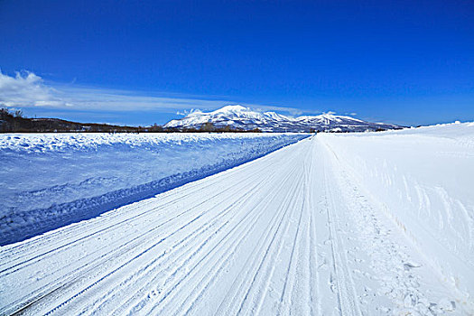 雪,道路,北海道