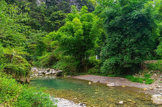 湖北宜昌三峡竹海夏日风光