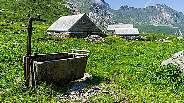 小屋,山地牧场,山脉,瑞士,欧洲