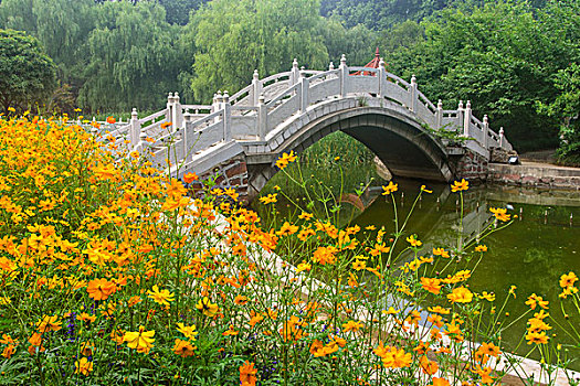 花园小桥