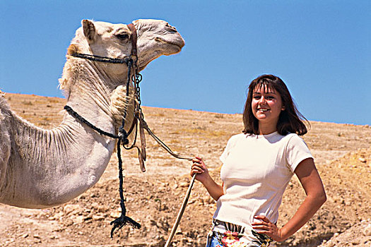 以色列,女青年,骆驼