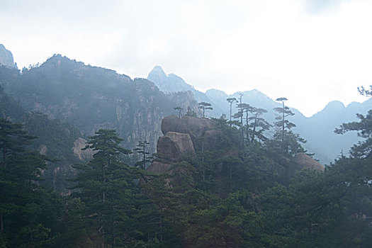 烟雨黄山