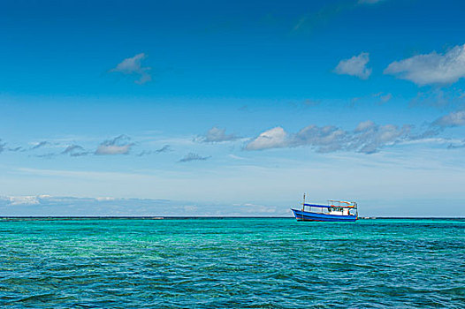 渔船,青绿色,水,蓝色泻湖,斐济,南太平洋