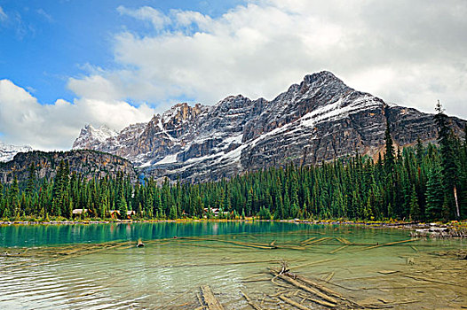 湖,国家公园,加拿大