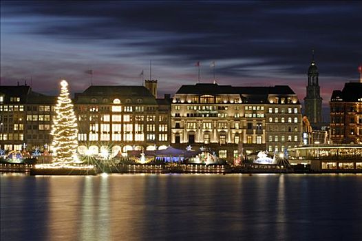 圣诞树,湖,汉堡市,德国