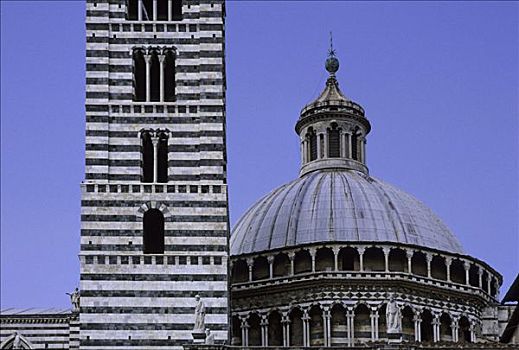 塔,圆顶,大教堂,锡耶纳,意大利