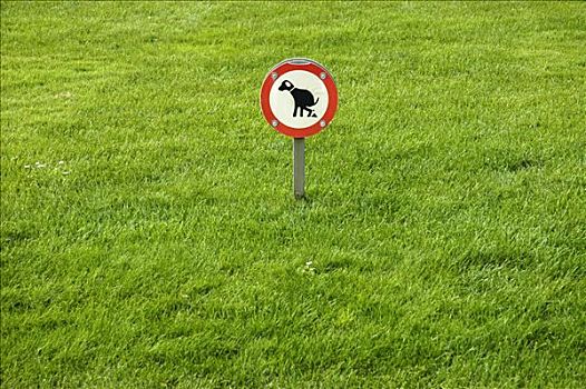 标识,狗,草地