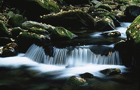 瀑布,流动,石头,大烟山,卡罗莱纳州,边界,美国