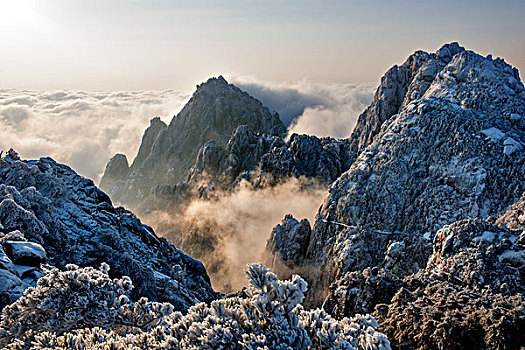 黄山,雪景,光明顶,日出,阳光,雾