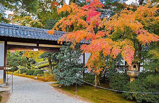 日本,京都,皇宫,花园