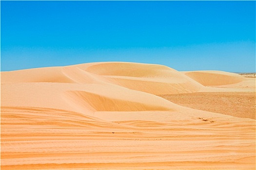沙丘,撒哈拉沙漠,靠近,托泽尔,突尼斯
