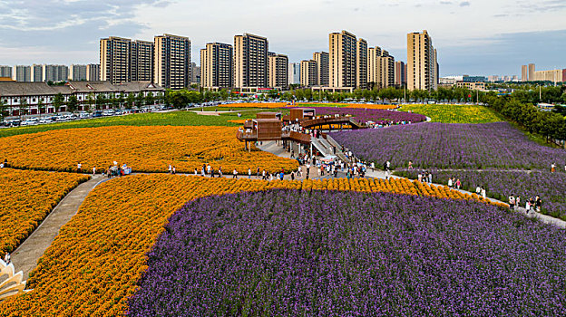 中国长春北湖花海景观