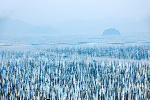 福建宁德市霞浦县沙江村海域养殖场