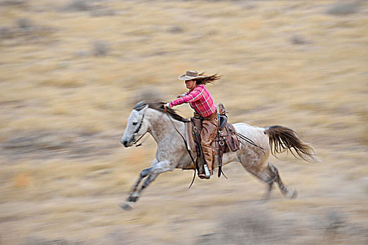 动感,女牛仔,骑马,驰骋,荒野,落基山脉,怀俄明,美国