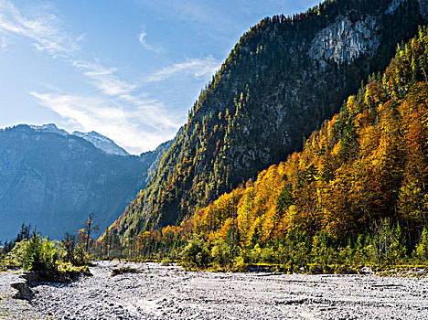 风景,靠近,湖,国家公园,巴伐利亚,德国,大幅,尺寸