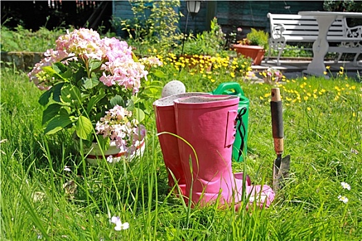 粉色,胶皮靴,春天,花园
