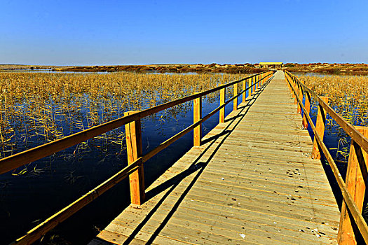 居延海