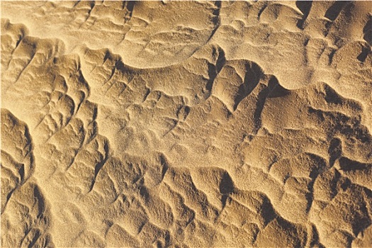 沙子,图案,撒哈拉沙漠