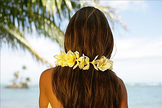 夏威夷,后面,女孩,穿,黄色,鸡蛋花,花环