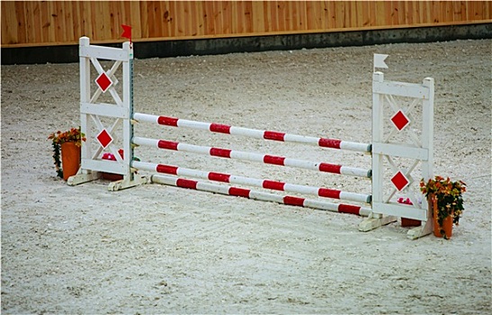 红色,白色,障碍,跳跃,马,骑,竞争