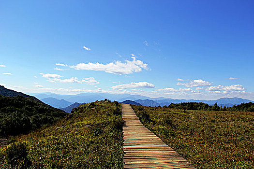 百花山栈道