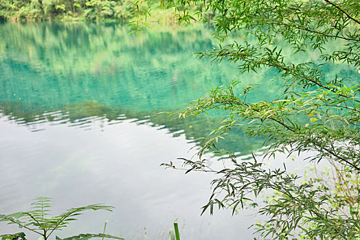 中国湖南省郴州市小东江山水竹林风景