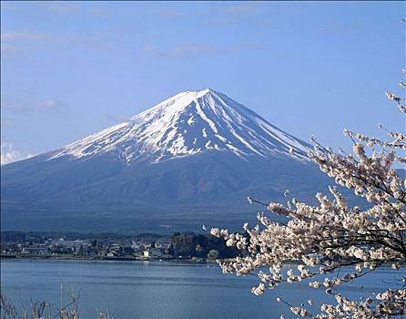 湖,富士山,山,背景,日本