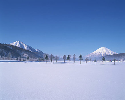 山,树,雪原