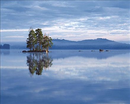 岛屿,湖,早晨,水,樟子松,风景,瑞典