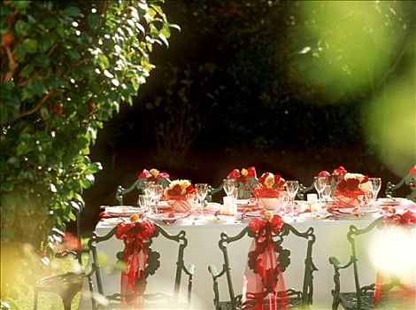 桌子,花园,浪漫,夏日聚会