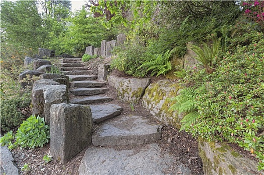 花园,阶梯,台阶,自然,石头