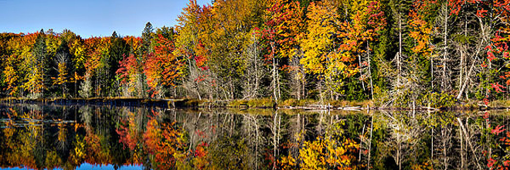 秋色,小,湖,水塘,阿尔杰,半岛,密歇根,大幅,尺寸