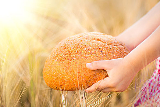 孩子,拿着,面包,黄色,秋天,小麦,背景,浅,深度,地点