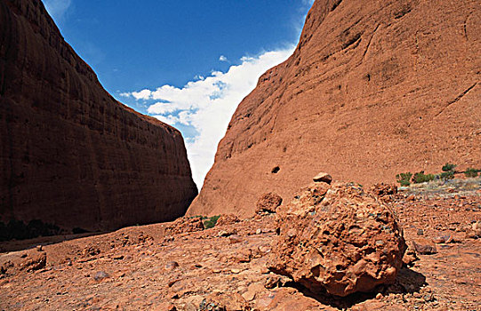 岩石构造,风景,奥尔加,乌鲁鲁-卡塔丘塔国家公园,北领地州,澳大利亚