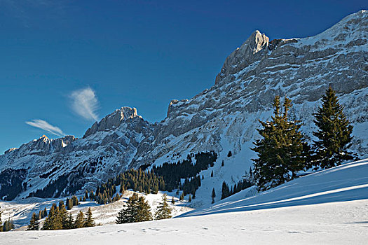 冬天,风景,山峦,阿彭策尔,瑞士,欧洲