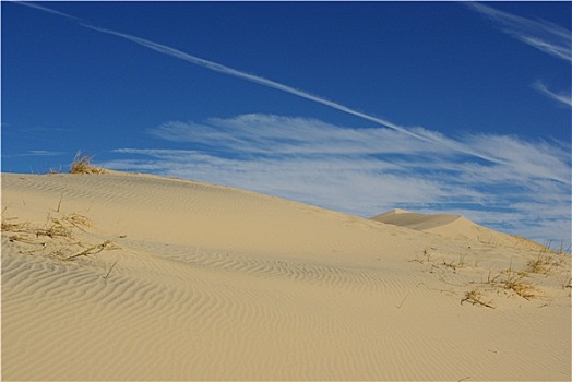 莫哈韦沙漠,沙丘,加利福尼亚