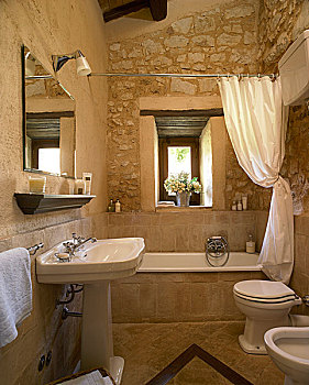 浴室,展示,乡村,石墙,基座,盥洗池,卫生间,坐便器,浴帘,上方